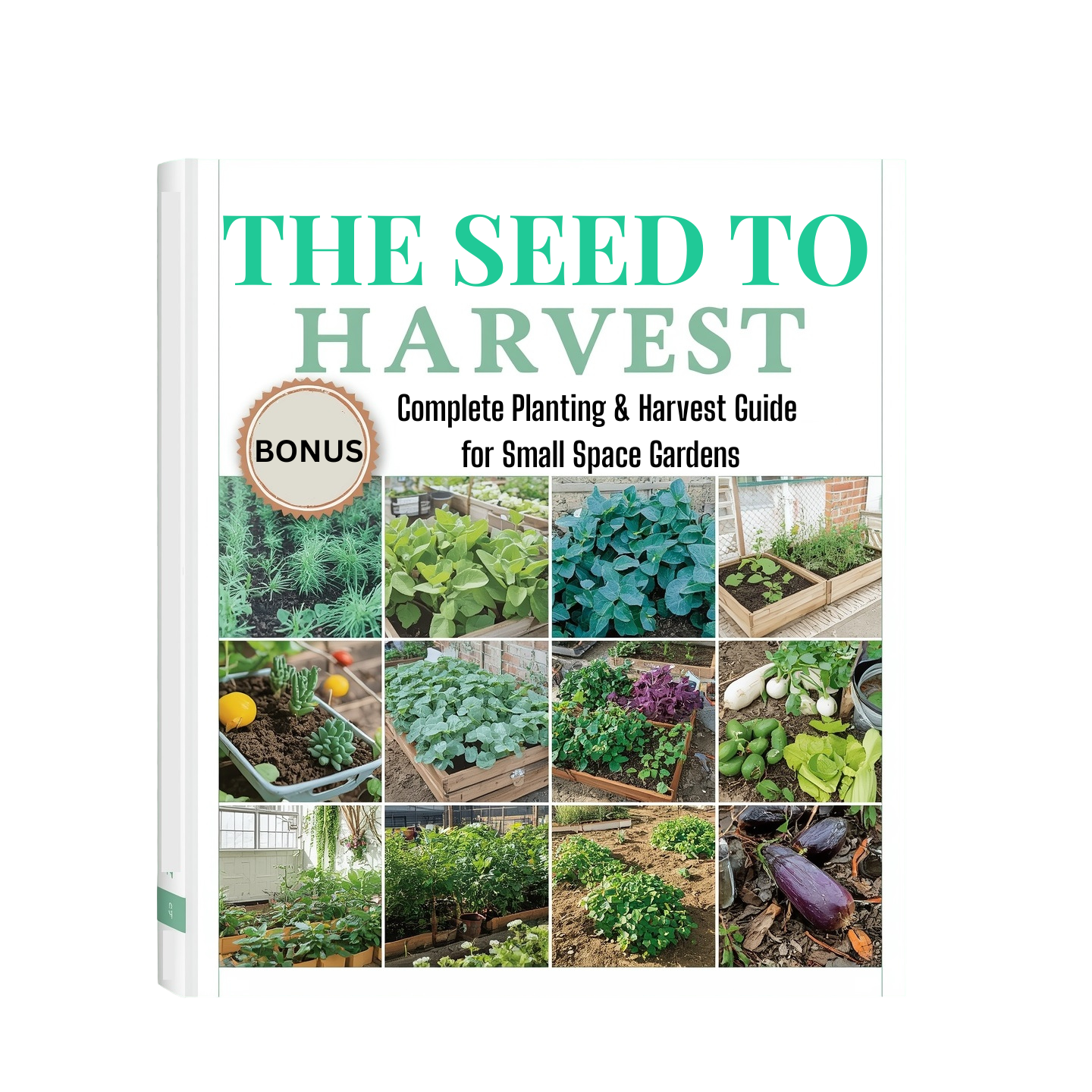 Seed to Harvest Quick Reference
