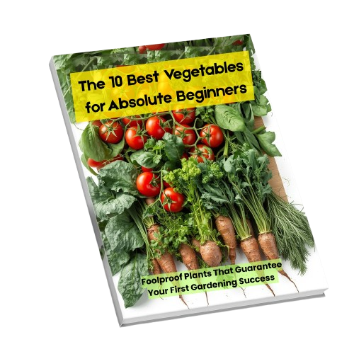 The “Foolproof 10” Starter Guide