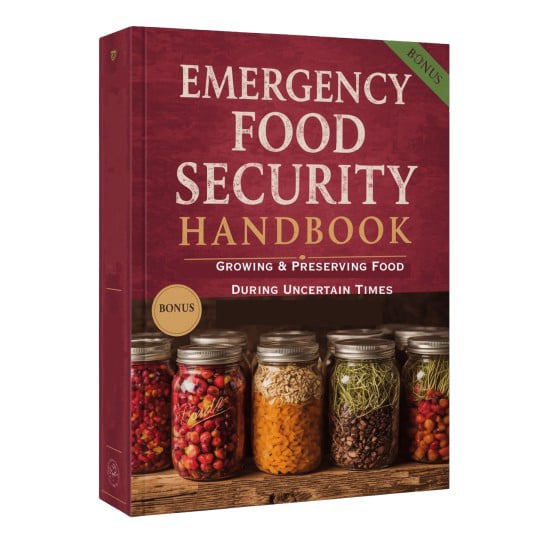 emergency-food-security-bonus3