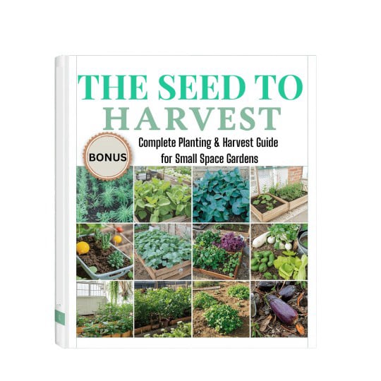 the-seed-harvest-bonus2